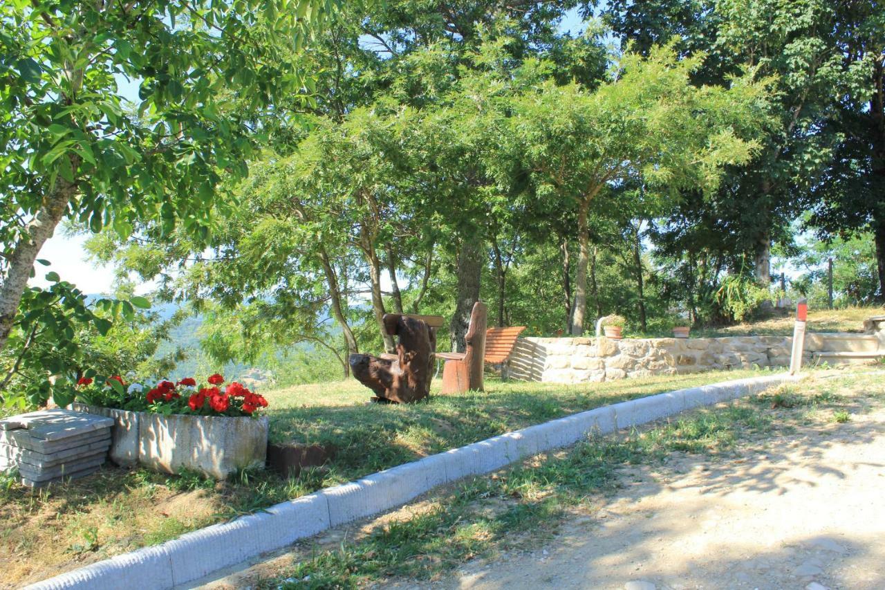 B&B Vista Casentino Pratovecchio Ngoại thất bức ảnh